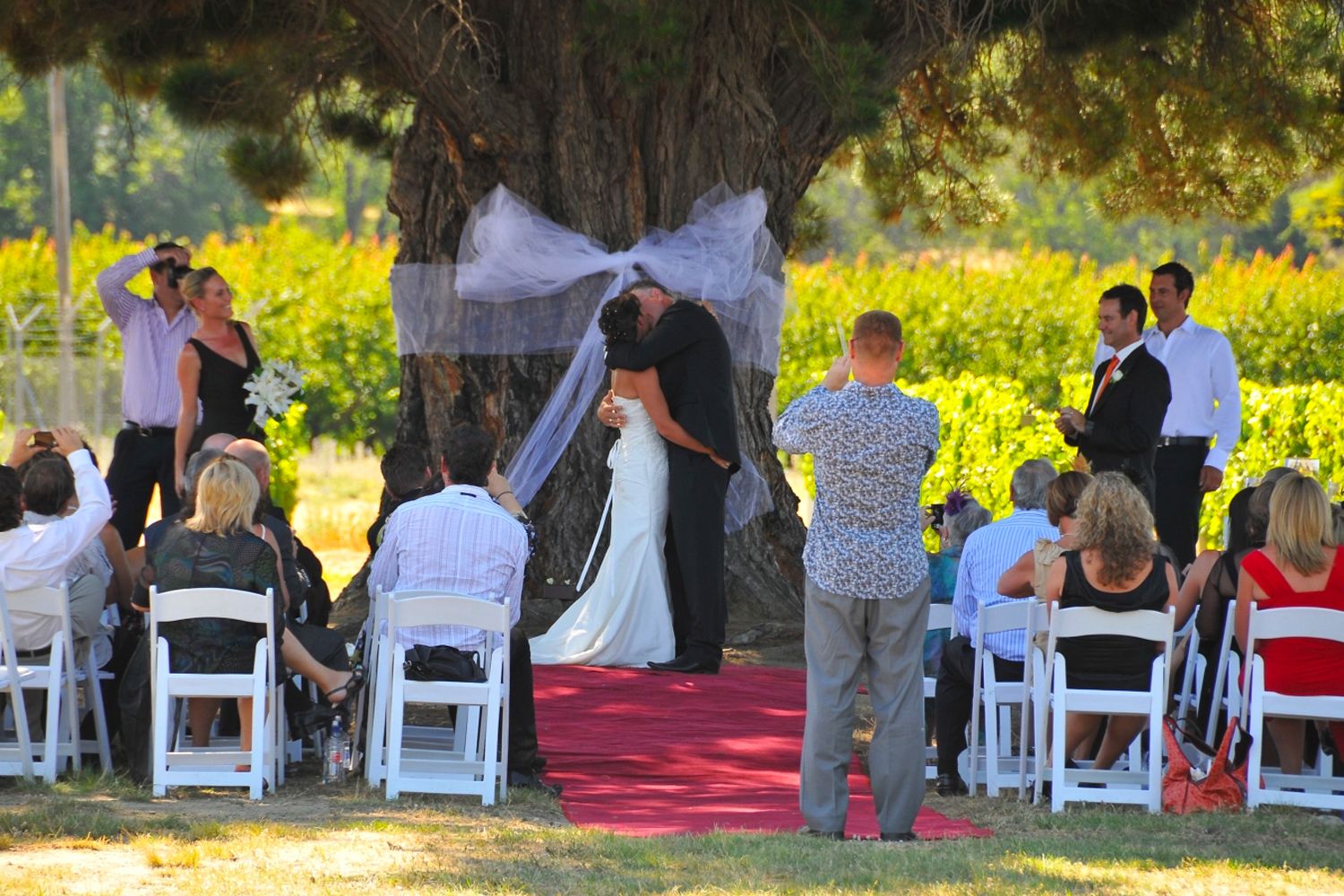 Wedding-under-the-wooing-tree