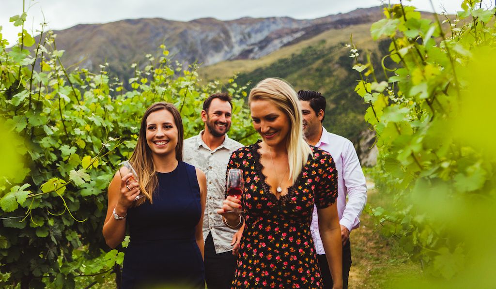 best wine tours nz