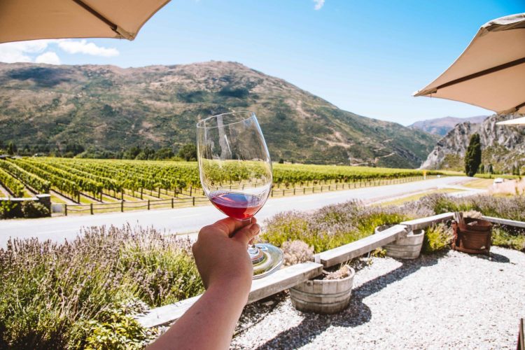 Wine tasting in Queenstown at Mt Rosa Cellar Door Wine Tasting Mt Rosa