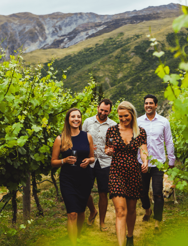 wine tours from queenstown