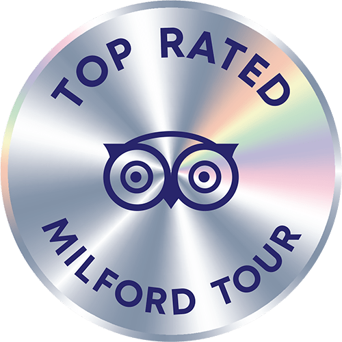 milford sound tour