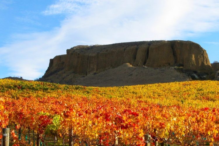 Mt-Difficulty-Wines-1024×683