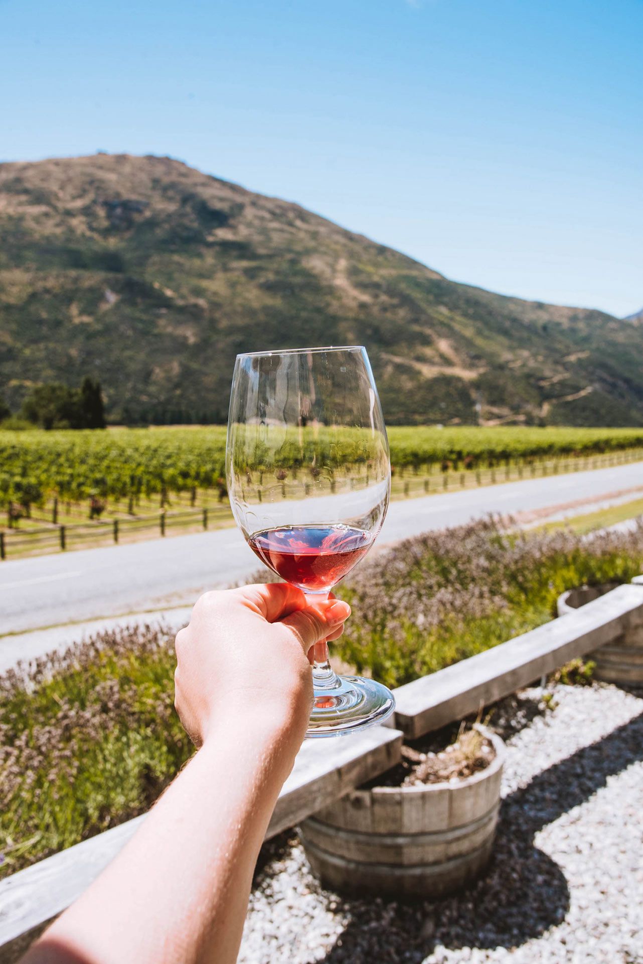 wine tours from queenstown