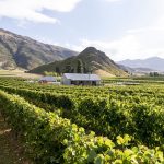 Mt Rosa Wine Tours