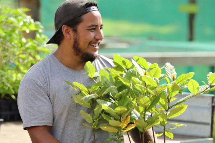 Planting-Trees-For-Bees@2x