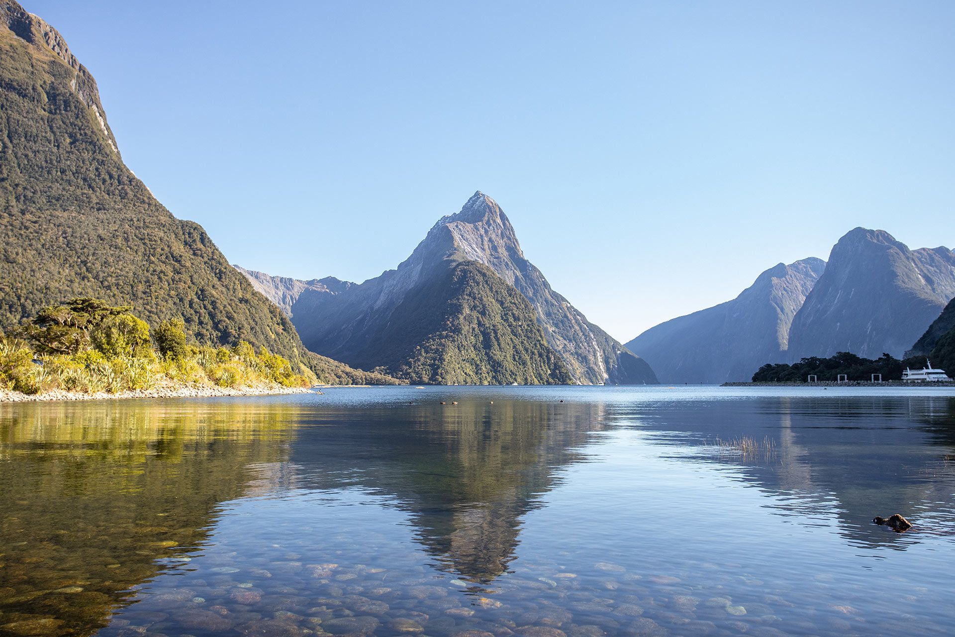 Milford Sound Tours | Small Groups Premium Travel