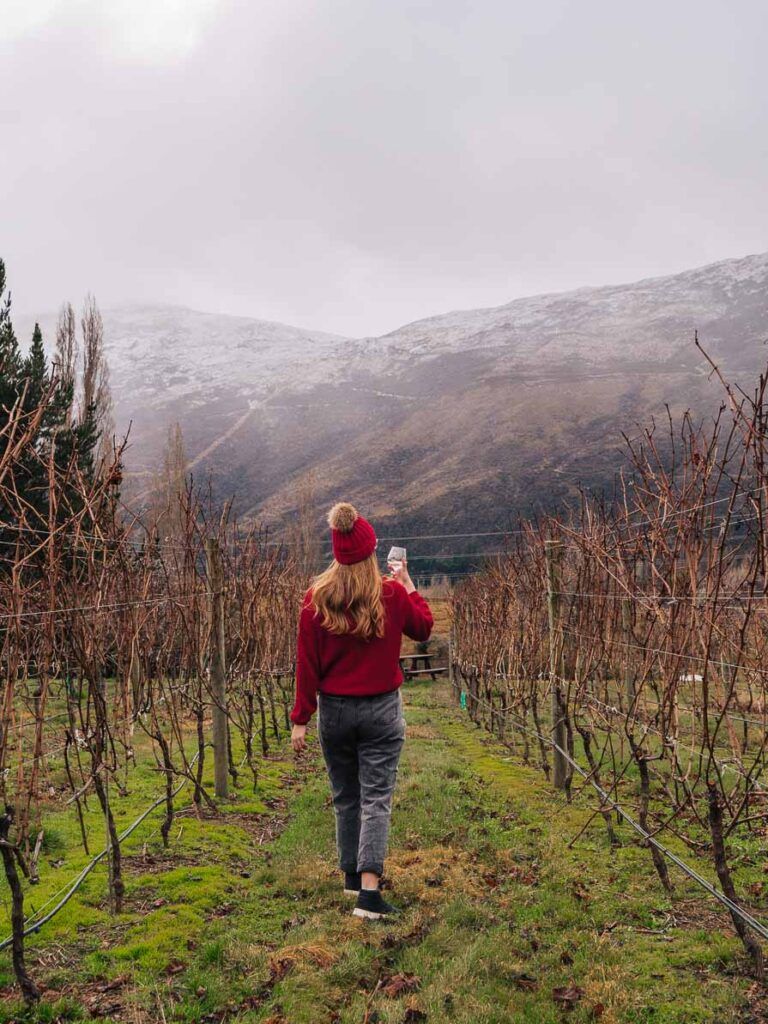 Vineyards in winter from Queenstown.