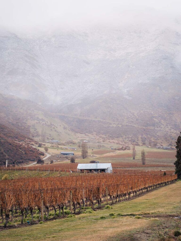 Gibbston valley vineyards.