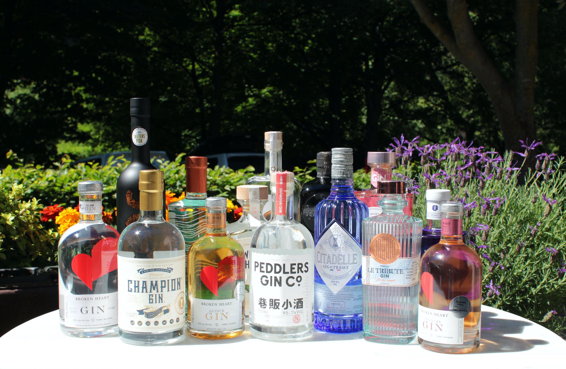 gin tours south west