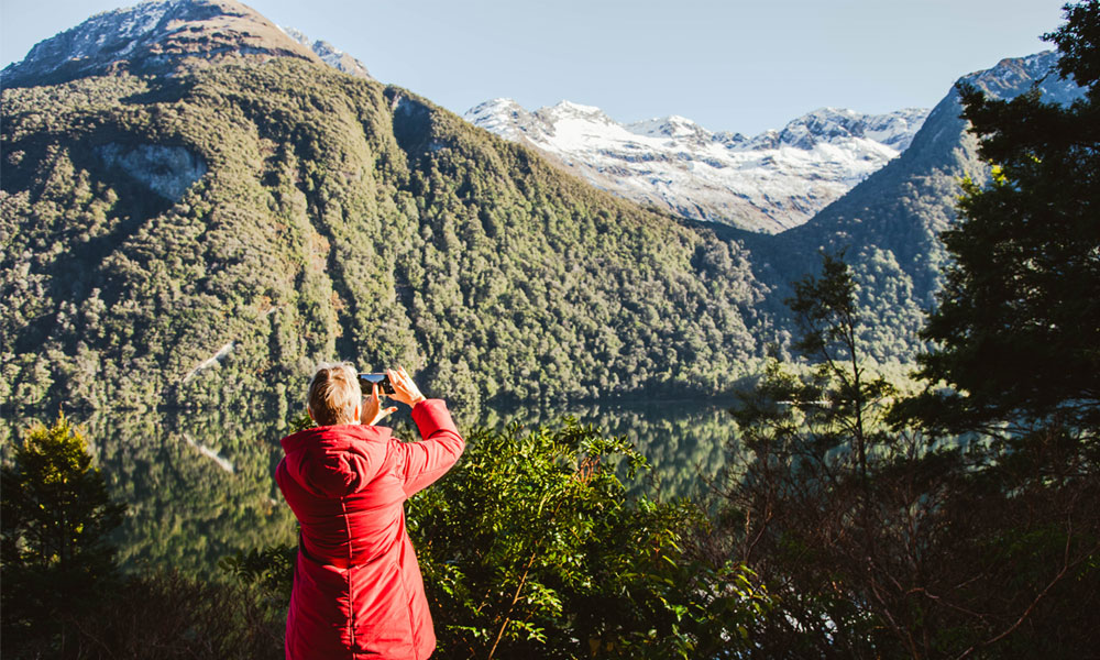 altitude tours milford sound experience